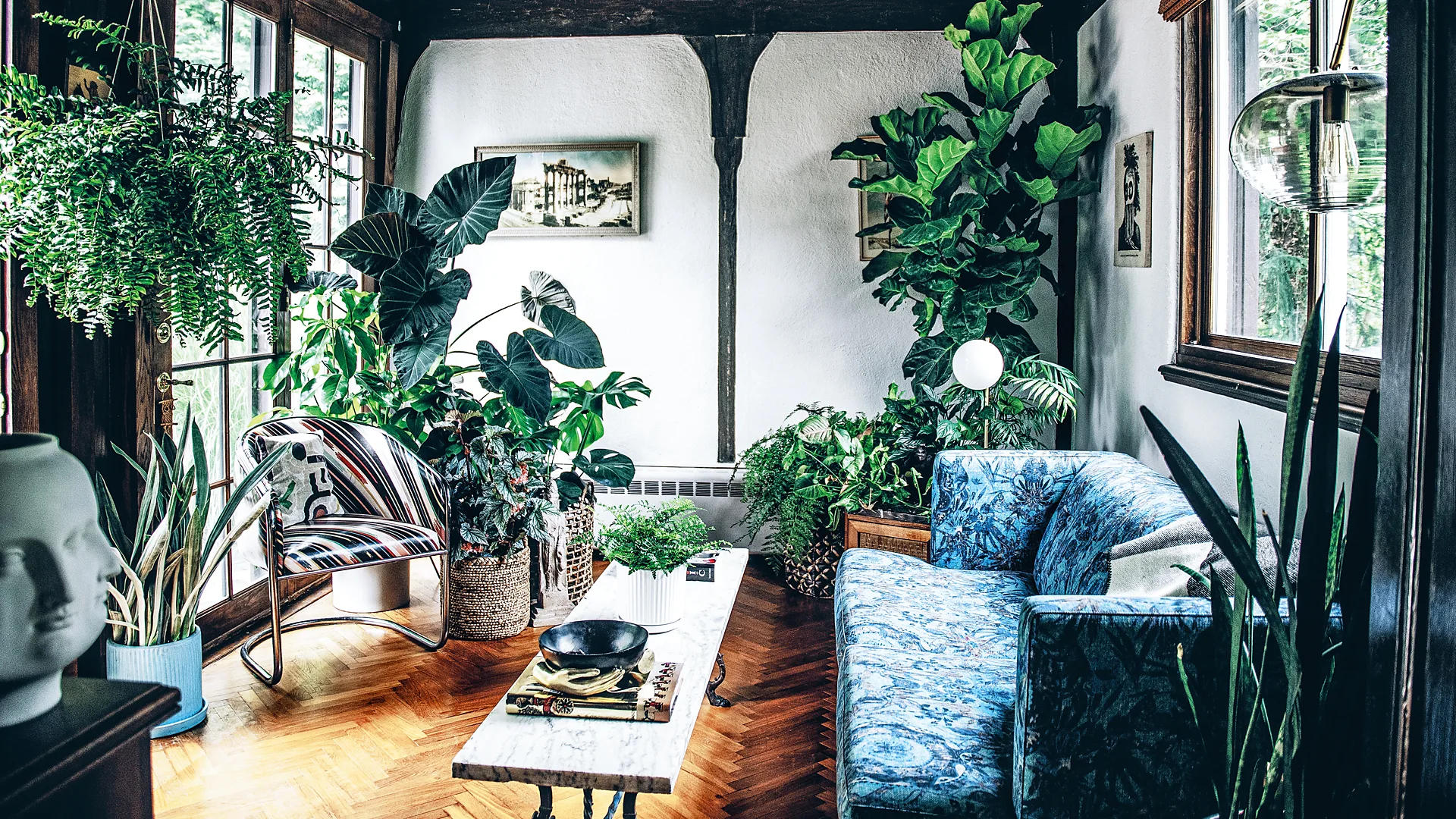 Simple Houseplant Care Tips for Fresh Indoor Greenery