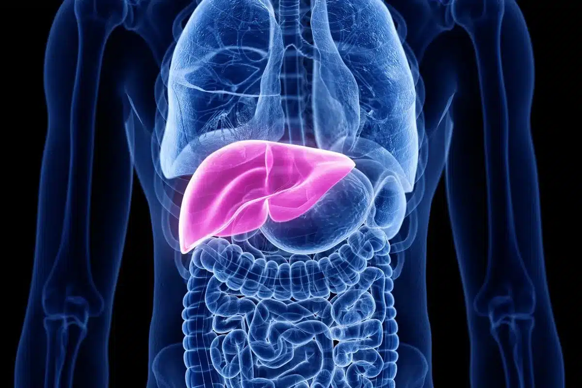 Pancreatic Cancer Symptoms – Silent Signs Detected Too Late