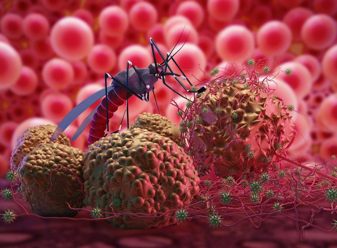 Dengue Fever Symptoms – Danger Signs Needing Immediate Care